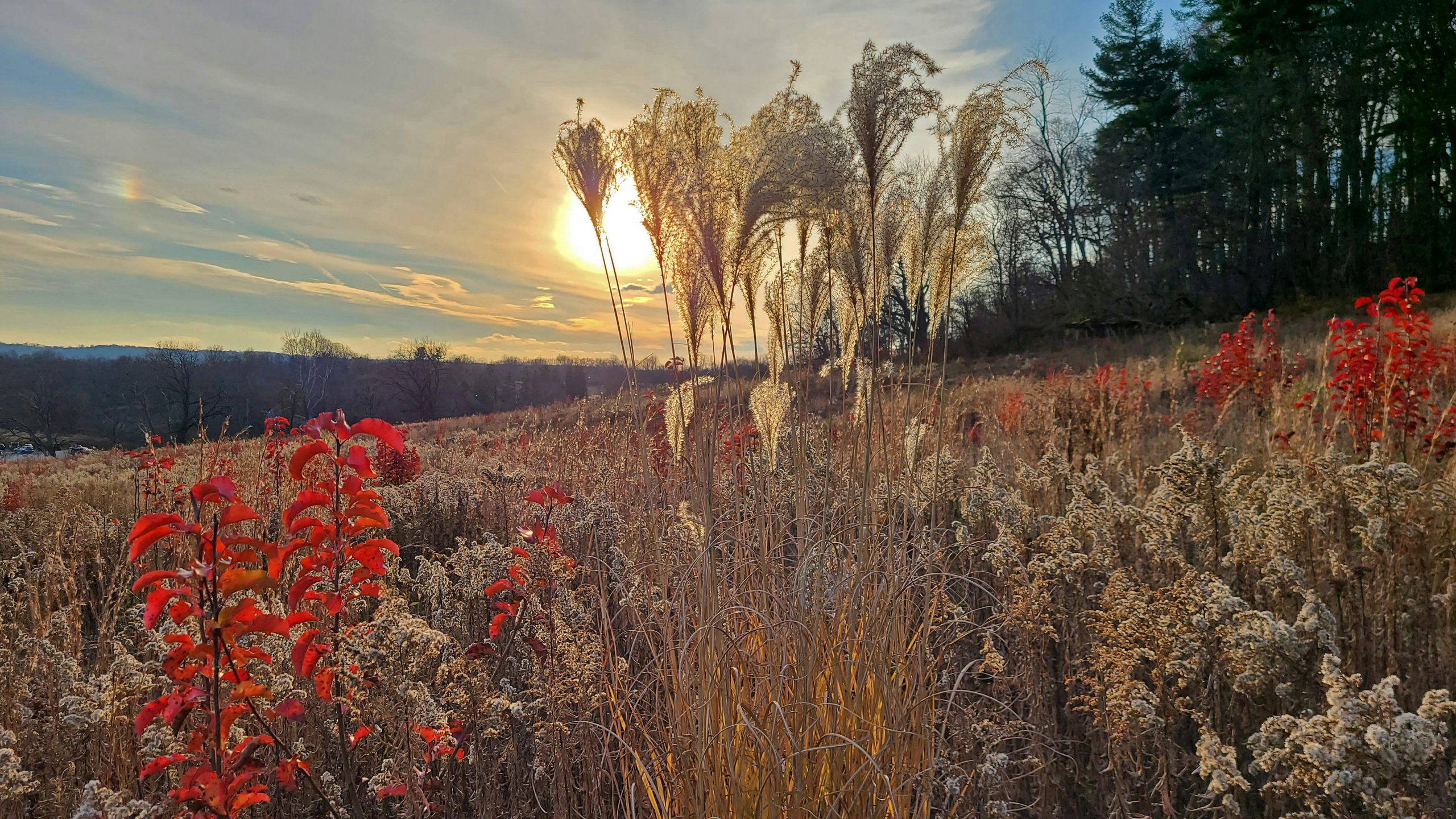 Valley Forge, PA, USA