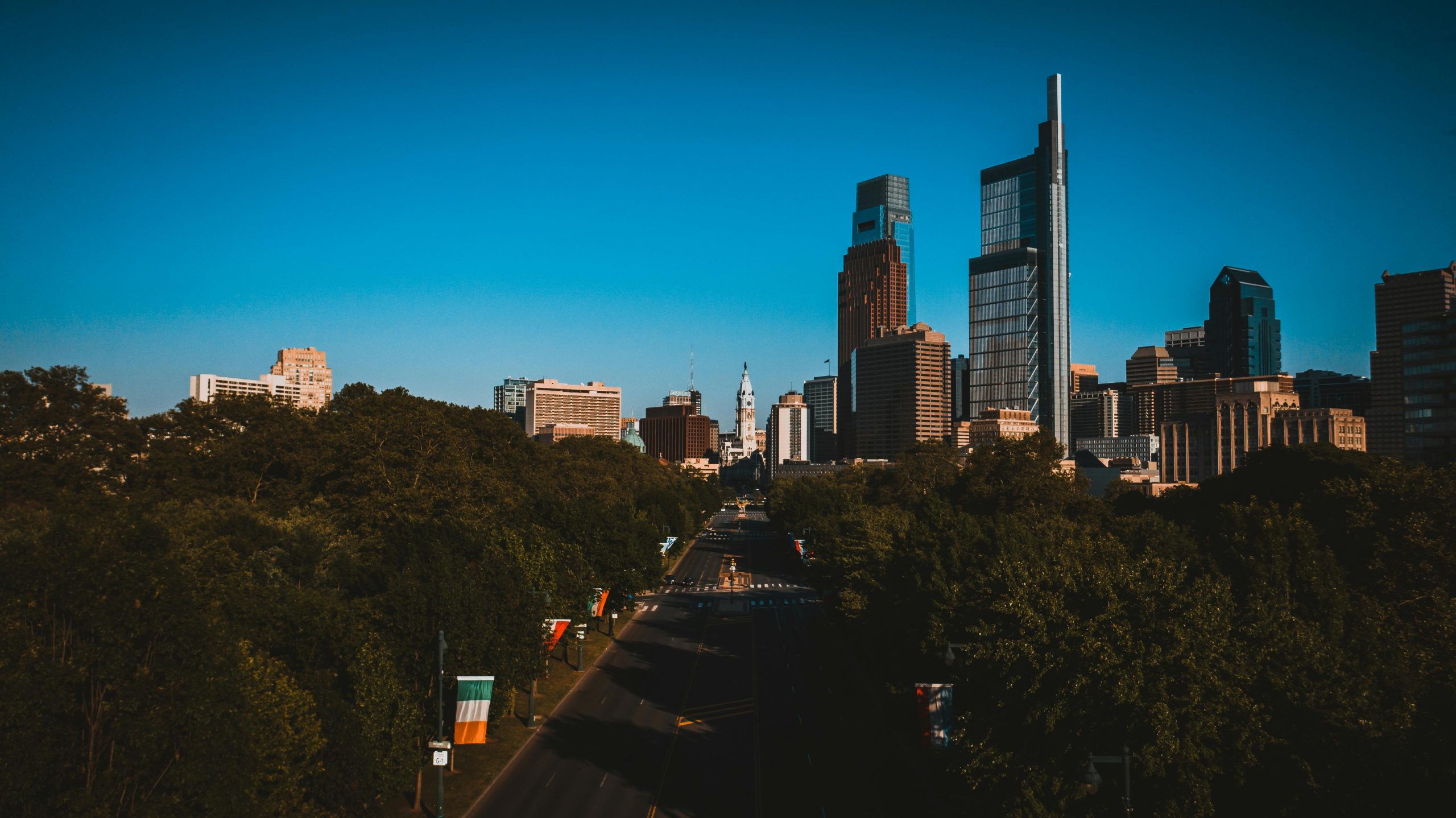 Road between trees near modern skyscrapers in town