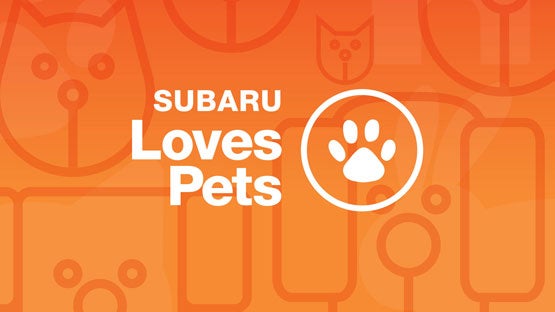 John Kennedy Subaru in Plymouth Meeting PA