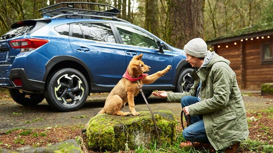 John Kennedy Subaru in Plymouth Meeting PA