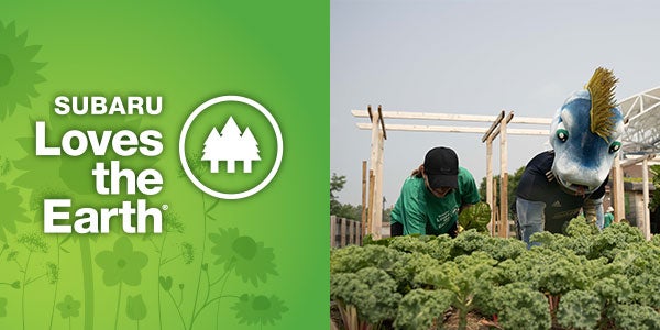 Subaru Loves the Earth