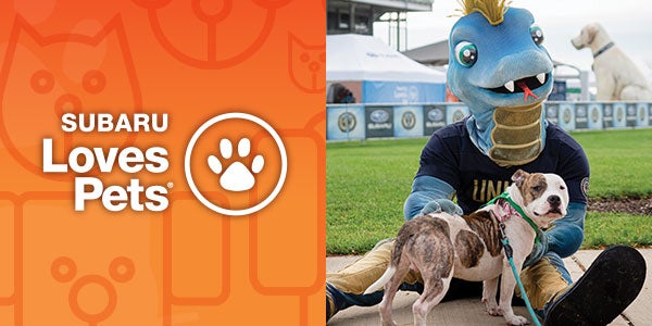 Subaru Loves Pets