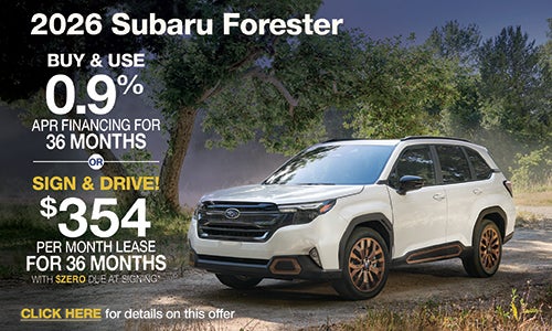 26 Forester Sign & Drive